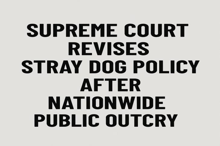 Supreme Court Revises Stray Dog Policy After Nationwide Public Outcry