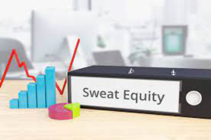 Sweat Equity Shares